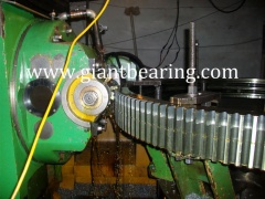 Slewing Bearings|Slewing BearingsManufacturer
