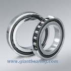 Cylindrical roller bearing|Cylindrical roller bearingManufacturer
