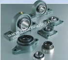 NTN Insert Bearing with Housing|NTN Insert Bearing with HousingManufacturer