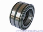Double row full complement cylindrical roller bearing|Double row full complement cylindrical roller bearingManufacturer