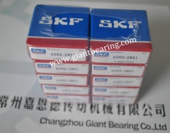 6202-2RS1|6202-2RS1Manufacturer