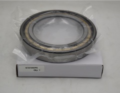 Cylindrical Roller Bearings N1019M|Cylindrical Roller Bearings N1019MManufacturer
