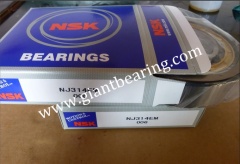 NSK NJ314EM|NSK NJ314EMManufacturer
